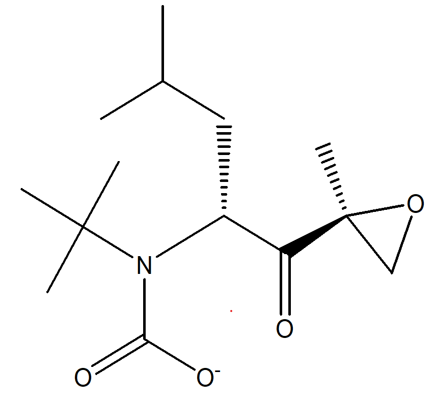CARFILZOMIB IMPURITY 74